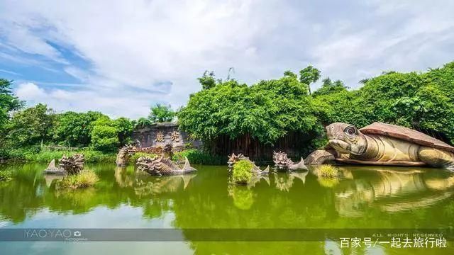 湖光巖龍魚神龜：廣東湛江湖光巖中存在神秘生物，被稱為“龍魚神龜” 龍魚百科 第2張