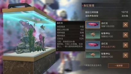 龍魚的魚缸多大容量：養(yǎng)龍魚需要考慮的因素有很多