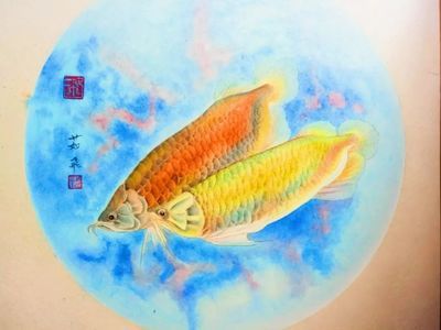 國畫金龍魚落款怎么寫好看：國畫金龍魚落款怎么寫 龍魚百科