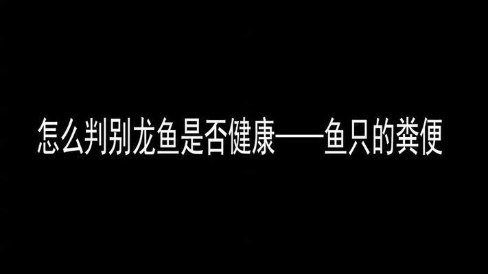 龍魚拉細(xì)便：龍魚拉細(xì)便可能是由于多種原因引起的 龍魚百科 第3張