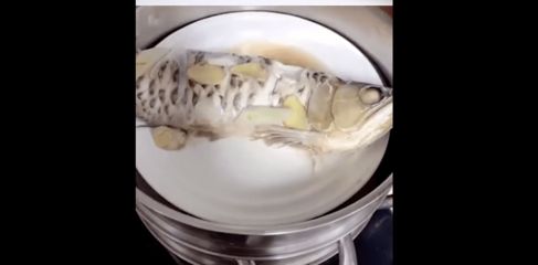 金龍魚喂蝦仁好嗎：蝦仁可以作為金龍魚的飼料嗎？ 龍魚百科