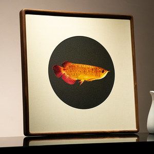 成品金龍魚多少錢一條價(jià)格：1.5公斤的金龍魚可以賣到18萬元，比黃金還貴