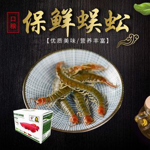 龍魚口糧：龍魚口糧選擇對其生長、健康和飼養(yǎng)難度都有重要影響 龍魚百科 第2張