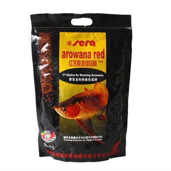 紅龍魚飼料哪個牌子好用點：紅龍魚飼料哪個牌子好用