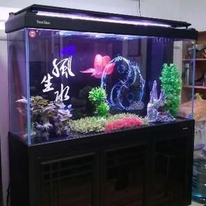 東營龍魚專賣店：東營森森水族生態(tài)魚缸專賣店東營森森水族生態(tài)魚缸專賣店 龍魚百科 第1張