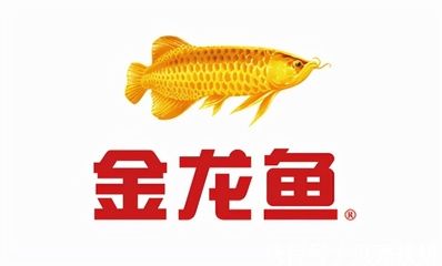 觀看金龍魚的心情說說句子：關于觀看金龍魚的心情說說句子 龍魚百科 第3張