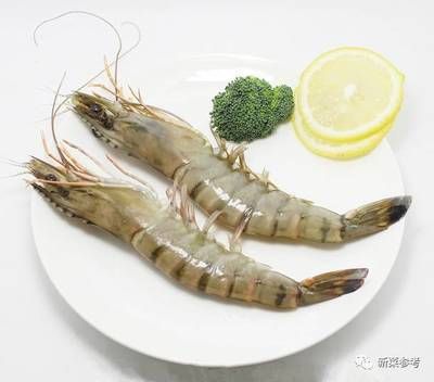 龍魚喂熟蝦：探討龍魚喂食熟蝦的可能性時