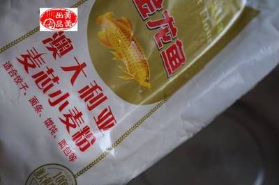 金龍魚幾度要加溫水：金龍魚最適合的水溫是多少