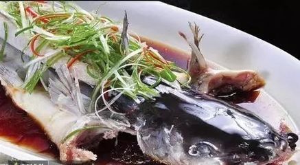 白龍魚的做法：白龍魚怎么做好吃？ 龍魚百科 第3張