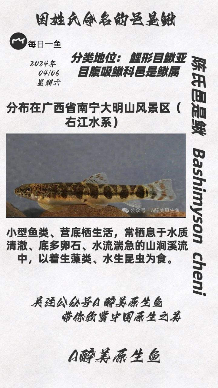 金龍魚餌料好用不好用：金龍魚餌料的好壞因人而異， 龍魚百科