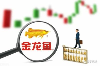 金龍魚每年?duì)I收：2023年金龍魚營(yíng)收數(shù)據(jù)顯示，2021年良好增長(zhǎng)勢(shì)頭 龍魚百科