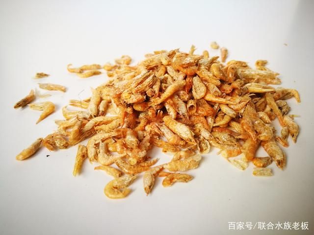 龍魚吃了不新鮮的蝦會怎么樣：龍魚吃了不新鮮的蝦會怎么樣龍魚吃了不新鮮的蝦會怎么樣 龍魚百科 第1張