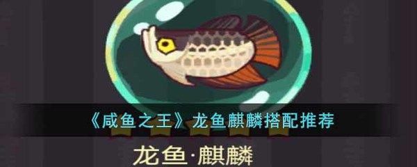 我的龍魚一直不好好吃怎么解決問(wèn)題呢：龍魚不好好吃食可能由多種原因引起 龍魚百科 第3張