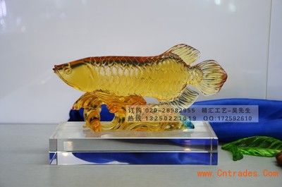 金龍魚先生是什么意思：“金龍魚先生”是什么意思金龍魚先生是什么意思