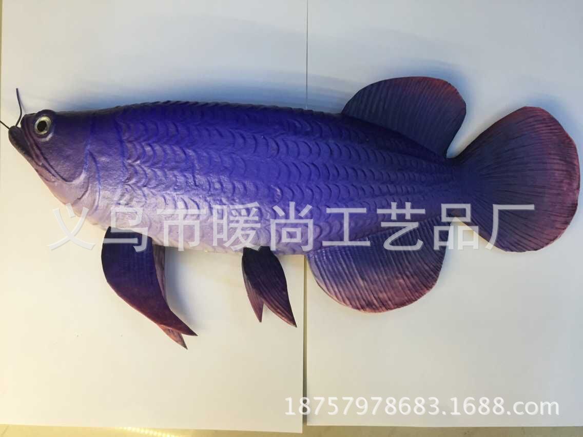 金龍魚(yú)翹嘴是為什么：金龍魚(yú)翹嘴可能是遺傳特征， 龍魚(yú)百科 第2張