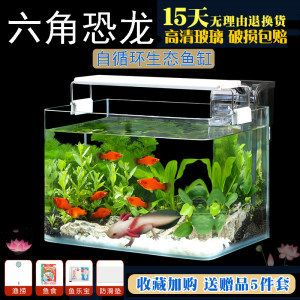 飼養(yǎng)龍魚用多大的缸合適：飼養(yǎng)紅龍魚的魚缸尺寸需要根據(jù)龍魚的品種和年齡來確定