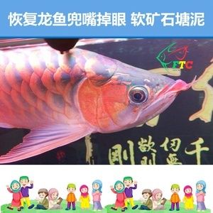 關(guān)于龍魚的句子有哪些三年級(jí)：三年級(jí)龍魚的句子