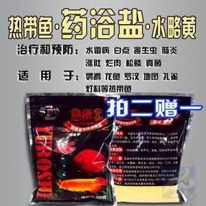 龍魚真菌感染用什么藥：如何治療龍魚的真菌感染