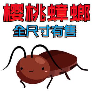 可以和龍魚(yú)一起養(yǎng)的龜：烏龜與龍魚(yú)一起養(yǎng)的注意事項(xiàng) 龍魚(yú)百科 第2張