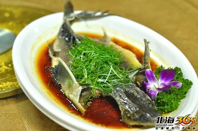 龍魚肉質(zhì)如何：如何評價(jià)龍魚的肉質(zhì)？