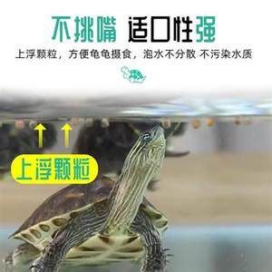 龍魚吃龜糧能消化不：龍魚吃龜糧的可行性