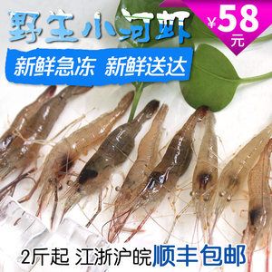 喂龍魚(yú)小河蝦用去皮嗎：喂龍魚(yú)小河蝦需要去皮嗎喂龍魚(yú)小河蝦用去皮嗎 龍魚(yú)百科 第2張