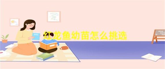 紅龍魚(yú)幼苗如何挑選：如何挑選紅龍魚(yú)幼苗