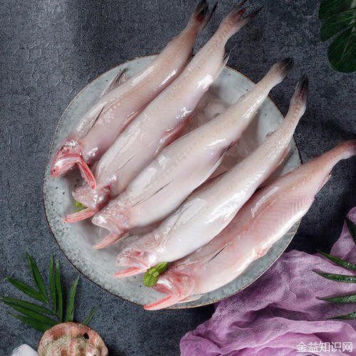 吃龍頭魚的好處：吃龍頭魚有哪些好處？