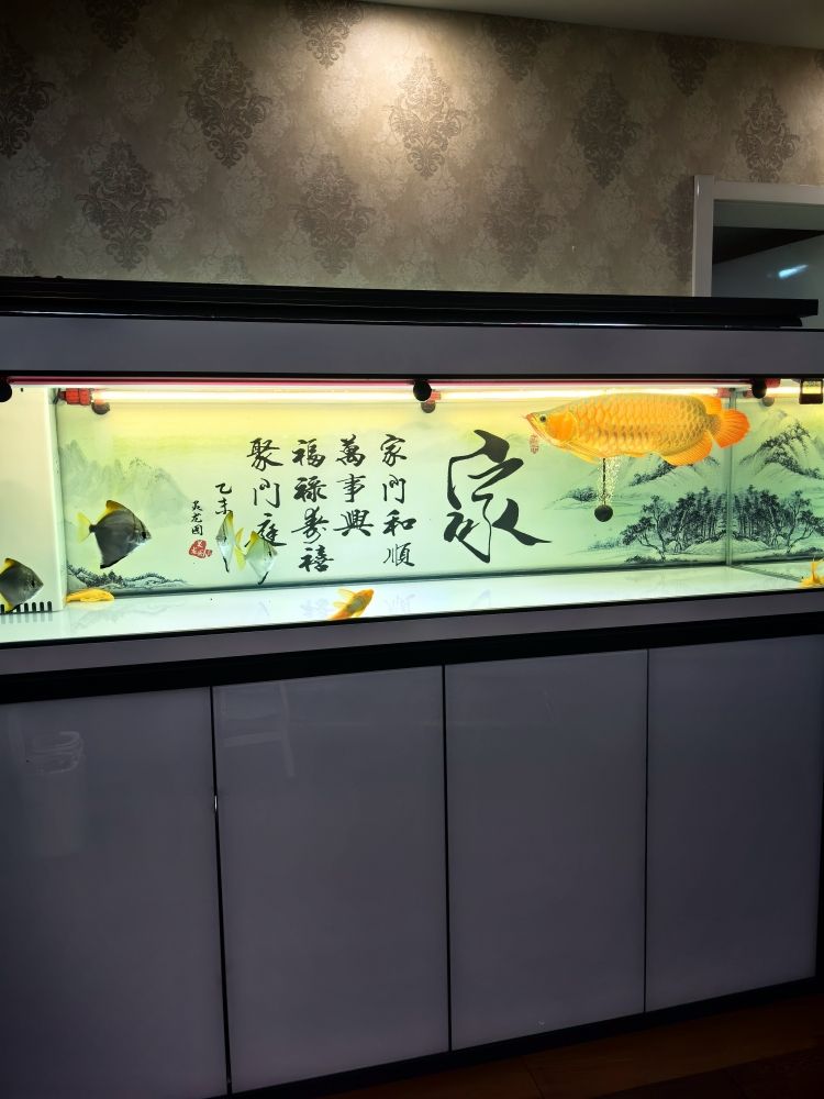 清洗魚缸，水清魚靚！：清洗魚缸，水清魚靚! 觀賞魚論壇 第6張