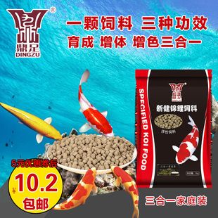 龍魚虎魚吃什么好一點：龍魚和虎魚吃什么好一點 龍魚百科 第1張