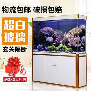 養(yǎng)龍魚的魚缸用白底還是黑底好看些：養(yǎng)龍魚的魚缸底色選擇一直是魚友們討論的話題 龍魚百科 第3張