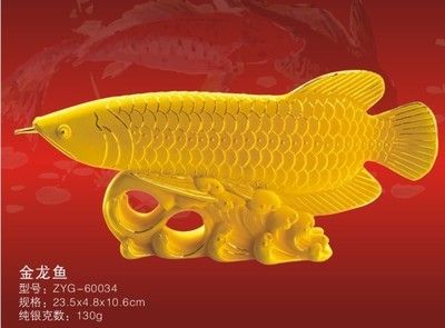 金龍魚最大有多大的魚：金龍魚的最大尺寸可以達(dá)到80厘米嗎？