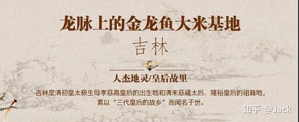 分析金龍魚品牌的內(nèi)涵是什么：金龍魚品牌的內(nèi)涵