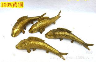 金龍魚是鯉魚：金龍魚并不是鯉魚，而是一種具有悠久歷史和豐富文化內(nèi)涵的觀賞魚