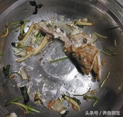 金龍魚好吃嗎能吃嗎：金龍魚好吃嗎？