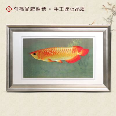 金龍魚掛畫魚頭朝向：金龍魚掛畫的魚頭應(yīng)該朝向東面