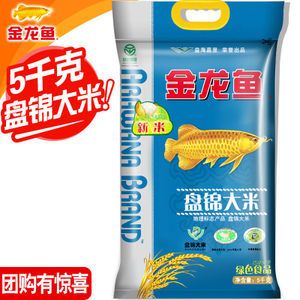 20多厘米的金龍魚吃什么好：20多厘米的金龍魚在飲食上有一定的要求 龍魚百科 第2張