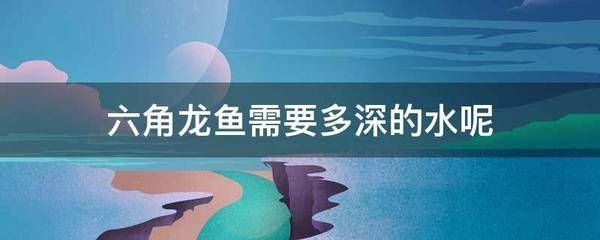 龍魚適合多深的水養(yǎng)魚：龍魚適合多深的水養(yǎng)魚呢？ 龍魚百科 第2張