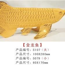 一米的缸養(yǎng)金龍魚可以長多大：金龍魚可以長到50厘米以上，但不會讓你的金龍魚長得更大 龍魚百科 第2張