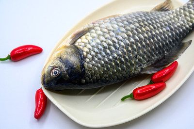 龍魚可不可以吃米飯和面條：龍魚可不可以吃米飯和面條呢？ 龍魚百科 第3張