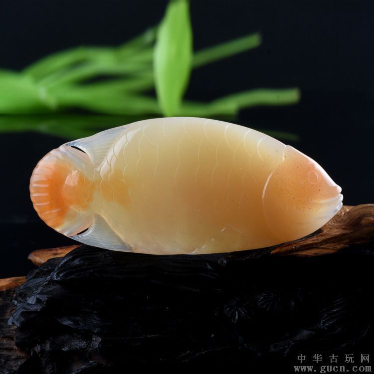 在家養(yǎng)金龍魚好不好：關(guān)于玉石金龍魚吊墜的一些信息