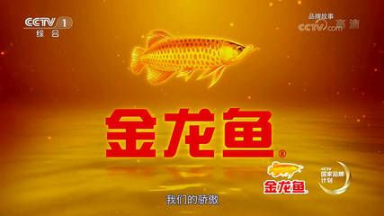 金龍魚的故事簡介：金龍魚故事簡介 龍魚百科 第3張