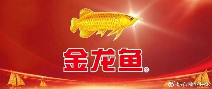 金龍魚評論：金龍魚是一種珍貴的觀賞魚