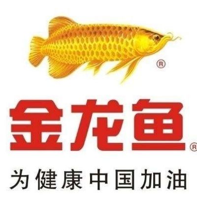 金龍魚評論：金龍魚是一種珍貴的觀賞魚