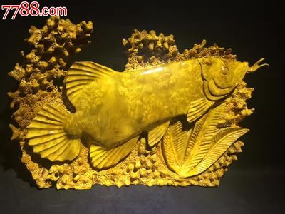 物件招財龍魚擺在什么地方：招財龍魚擺件在什么地方 龍魚百科 第3張