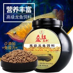 怎么喂養(yǎng)魚龍：如何讓銀龍魚開口吃飼料 龍魚百科