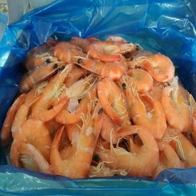 龍魚可不可以喂熟蝦：龍魚可以喂熟蝦嗎？ 龍魚百科 第2張