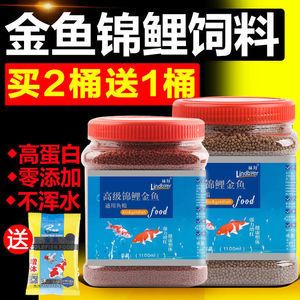 錦鯉吃龍魚飼料：錦鯉可以吃龍魚飼料嗎？ 龍魚百科 第2張