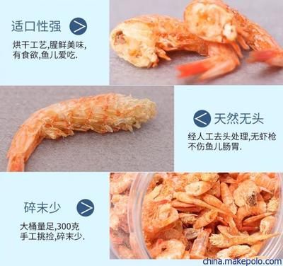 龍魚吃蝦干怎么泡水喝：喂食龍魚蝦干時(shí) 龍魚百科 第1張