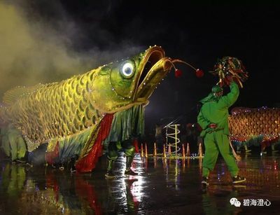 龍魚彩繪：水彩畫家黃有維推薦的畫龍魚彩繪是中國傳統(tǒng)藝術(shù)中的重要主題